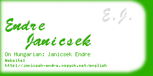 endre janicsek business card